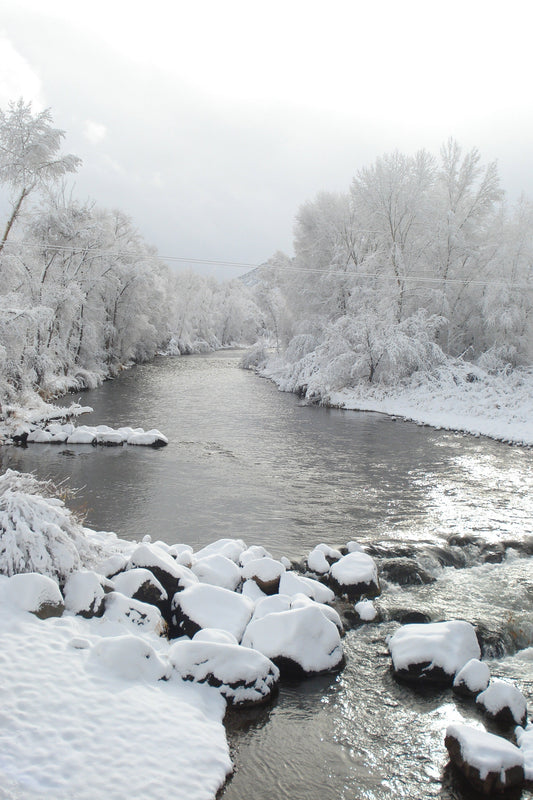 Snow covered rocks and trees along the river in Aspen